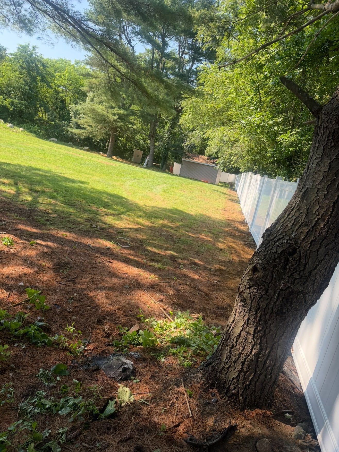 Cleared and raked fence line along a white vinyl privacy fence at the edge of a large lawn